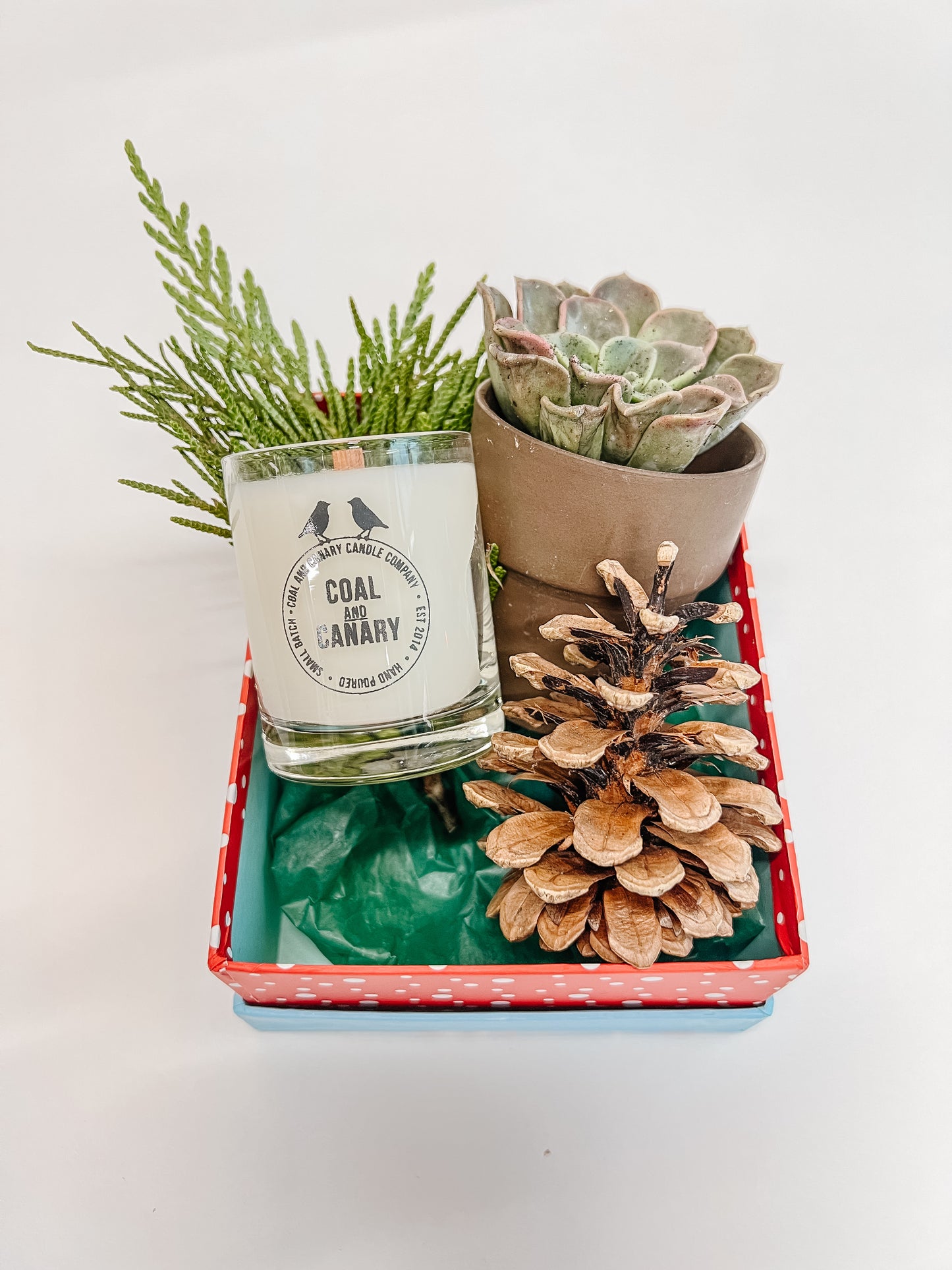 Holiday Candle & Plant gift pack