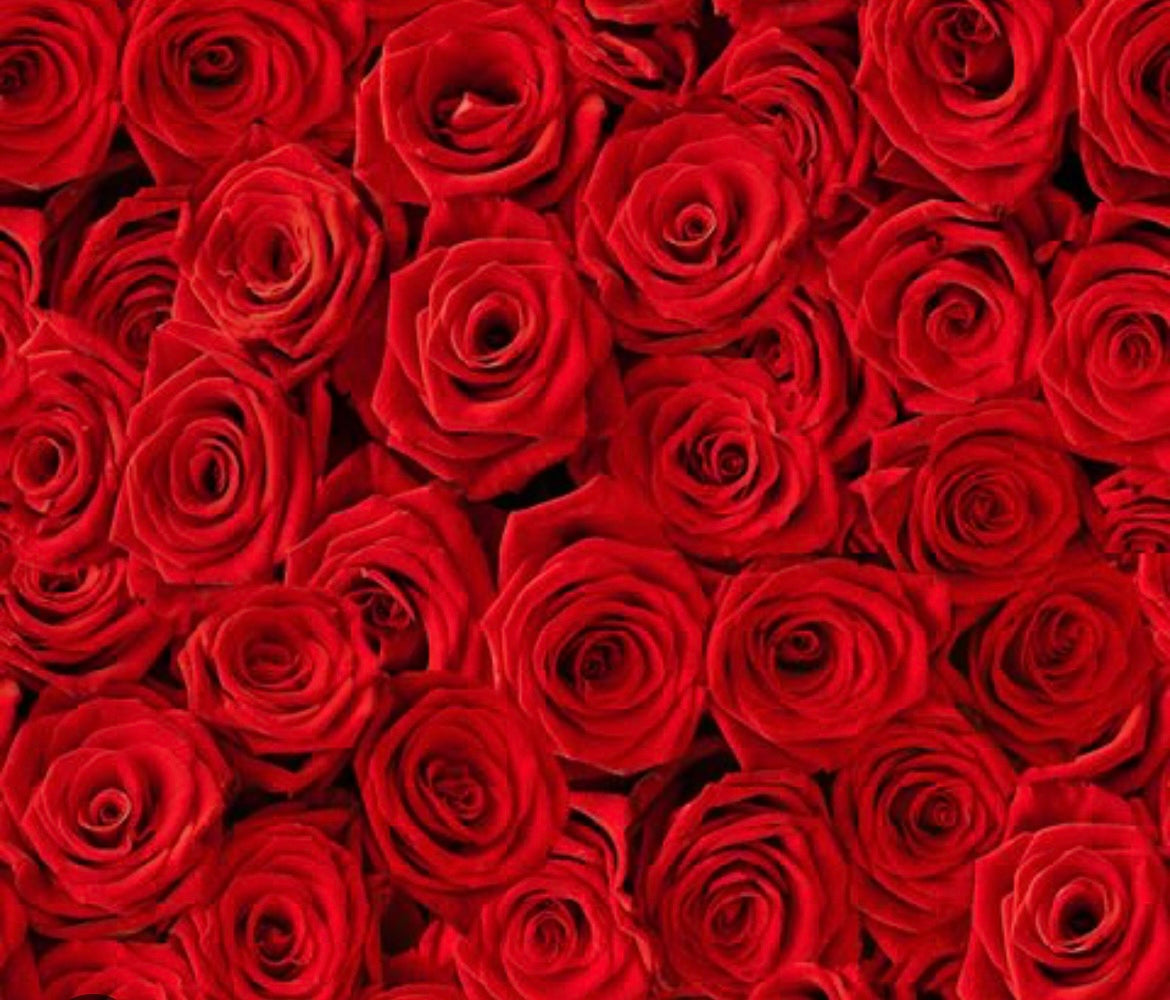 Rose Bouquets (no vase)