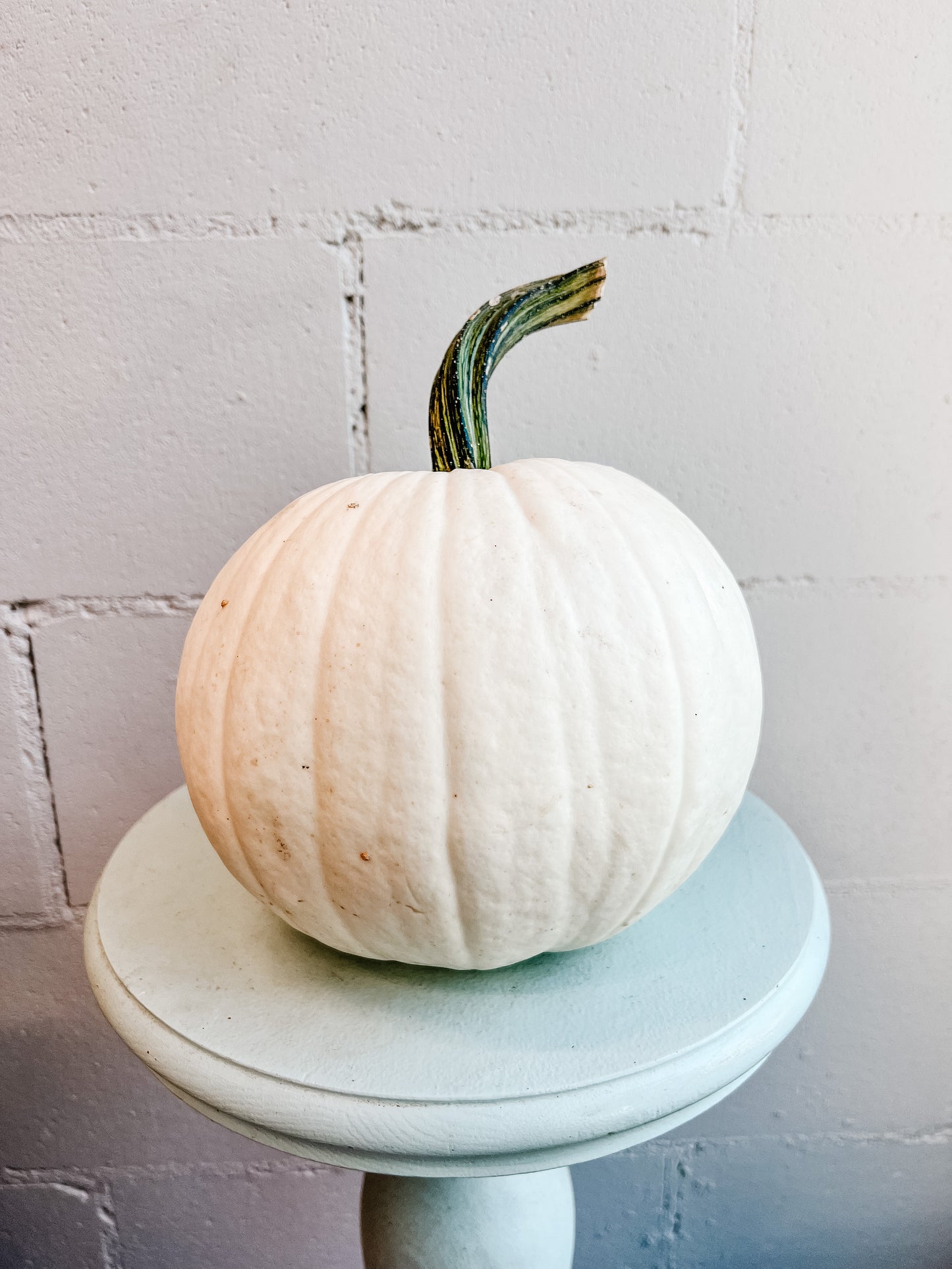 Pumpkin centrepiece kits