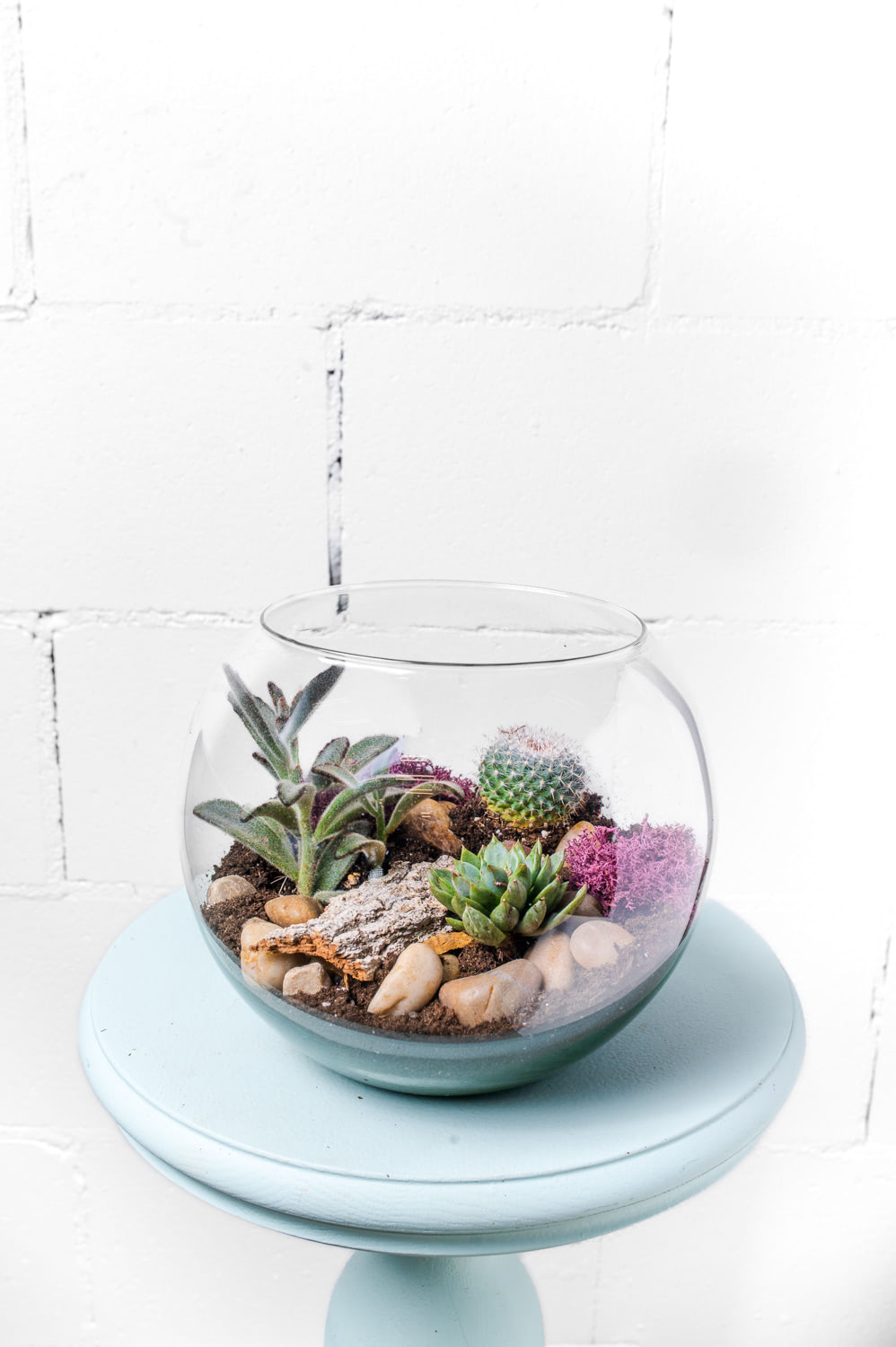 Succulent Terrarium