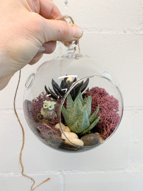 Hanging Succulent Terrarium